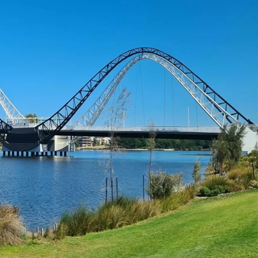 Swan shaped bridge made from steel pipes